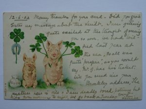 Greetings LUCKY PIG, 4 Leaf Clover & Horseshoe 30000 c1902 Postcard by MSB 12949