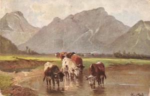 \Artist signed. Cows drinking\ Nice antique postcard