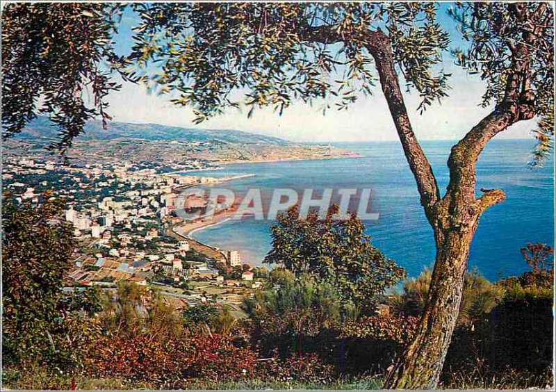 Postcard Modern Riviera dei Sanremo Panorama