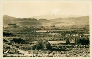 OR, Hood River Valley, Oregon, Mount Hood, Orchards, RPPC