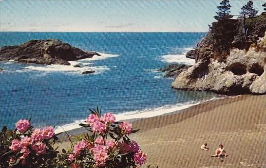 Oregon Portland Pacific Ocean Seacoast 1969