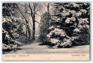 1951 Winter Scene Chestnut Hill Litchfield Connecticut CT Vintage Postcard