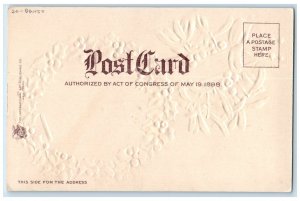 c1905 Christmas Greetings Banjo Holly Berries Embossed Clapsaddle Postcard