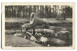 RPPC Postcard The Alabaster Sphinx Memphis Egypt