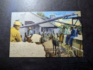 Mint USA Postcard Cotton Ginning Time in Memphis TN Tennessee