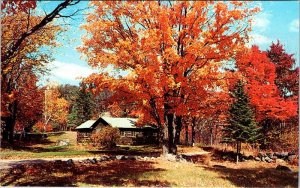 Postcard BUILDING SCENE New England New Hampshire NH AK1962