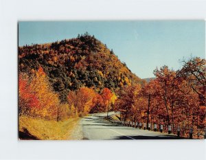 Q-10210 Vermonts magnificent fall foliage spectacle Vermont USA