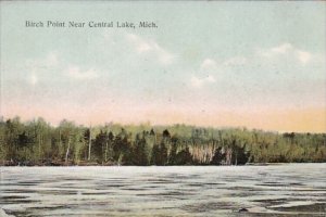 Michigan Birch Point Near Central Lake
