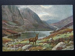 Scotland LOCH DHU Loch-na-gar STAG by Longstaffe - Old Postcard by Hildesheimer