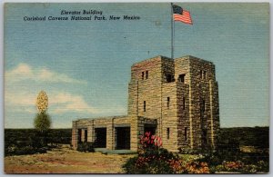 Carlsbad Caverns National Park New Mexico 1940s Postcard Elevator Building