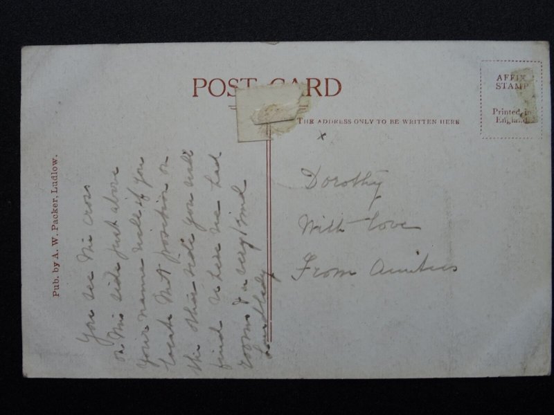 Shropshire LUDLOW from Whitcliff / Panoramic View - Old Postcard by A.W. Packer