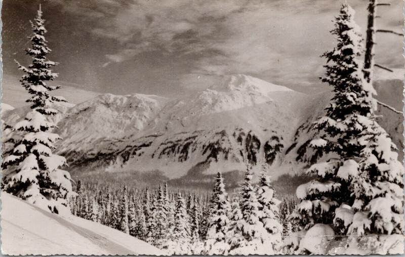 Half-Way Lodge Hart Highway Summit Pine Pass BC Begallie Unused Postcard D77