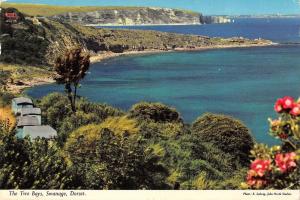 BR92499 the two bays swanage dorset   uk