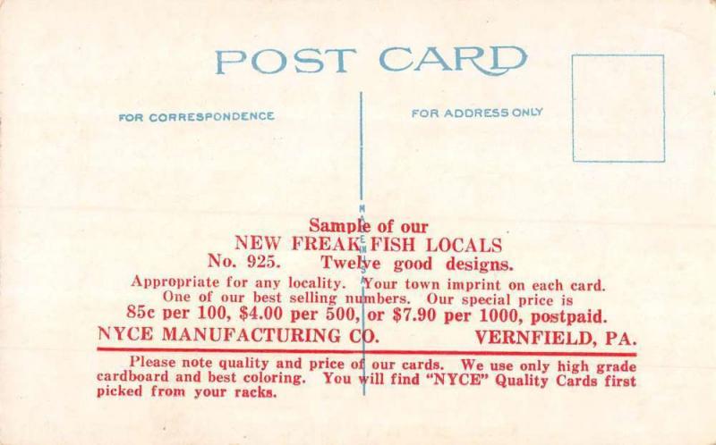 Vernfield Pennsylvania Large Fish Catch Humor Antique Postcard K104590