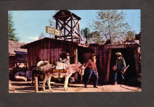 CA Knott's Berry Farm Amusement Park Mine Mining BUENA PARK California Mule