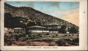 APACHE TRAIL ARIZONA & ROOSEVELT DAM~SOUVENIR FOLDER~11 HAND COLORED POSTCARDS