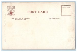 c1910 Wilson Avenue Bathing Beach Canoe Boat Exterior Chicago Illinois Postcard