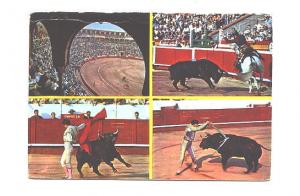 Interior Multiview, Bullfights, Spain, Made in Spain