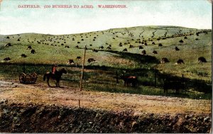 View Overlooking an Oatfield, 150 Bushel to Acre, WA c1910 Vintage Postcard H52