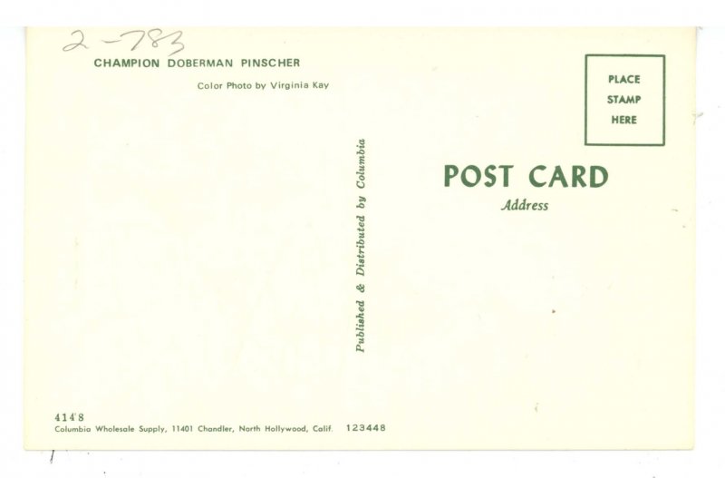 Dogs - Champion Doberman Pinscher
