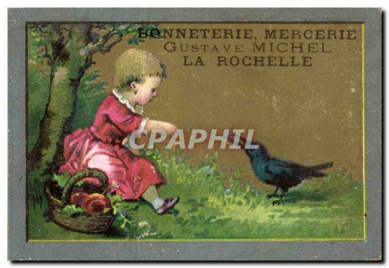 Chromo Hosiery Gustave Michel La Rochelle bird