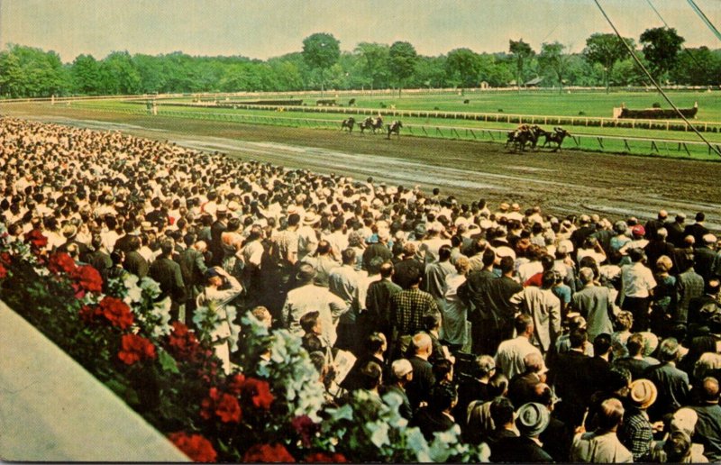 New York Saratoga The Saratoga Race Track Driving Down The Homestretch Horse ...