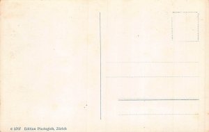 Switzerland Thun Schloss Castle vintage postcard