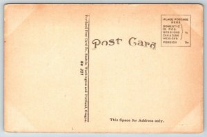 Riverside Ave.  Spokane  Washington   Postcard  1924