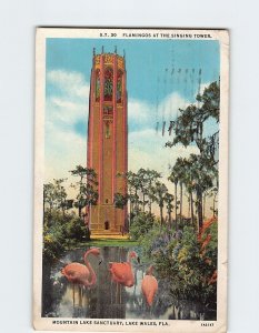 Postcard Flamingos Singing Tower Mountain Lake Sanctuary Lake Wales Florida USA