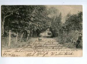 236395 BRAZIL Rio Grande do Sul Pelotas park 1906 year RPPC