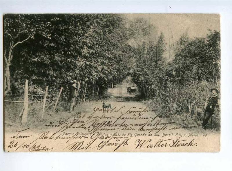 236395 BRAZIL Rio Grande do Sul Pelotas park 1906 year RPPC