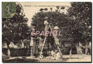 Old Postcard picking flowers & # 39orangers Vence