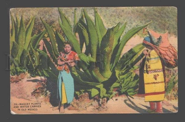 090368 Maguay Plants & water Carrier in old Mexico Vintage PC