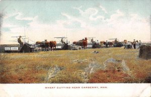 Carberry Manitoba Canada Wheat Cutting Farming Vintage Postcard AA27872