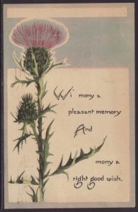 Pleasant Memory,Thistle Postcard