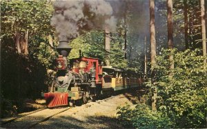 Dexter Portland Zoological Zoo Minatare Railroad Postcard 20-14249