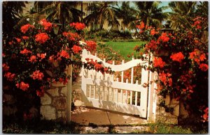 Nassau in the Bahamas Flower Covered Wall Garden Gate Postcard