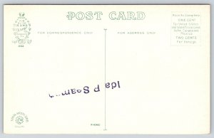 Daytona Florida~Rustic Big Tree Seat~Lookout Platform~Sunset~c1910 Postcard