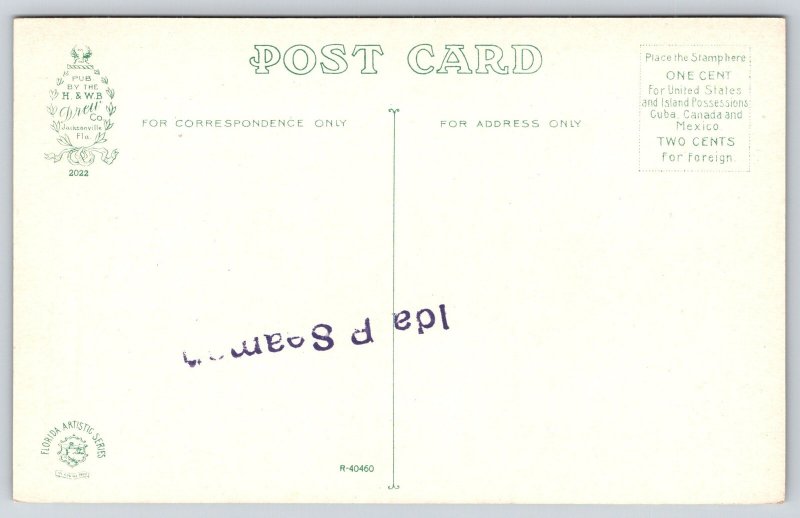 Daytona Florida~Rustic Big Tree Seat~Lookout Platform~Sunset~c1910 Postcard