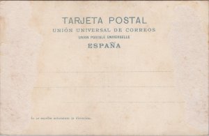 Spain Ronda Vista del Tajo desde un Molino Vintage Postcard C064