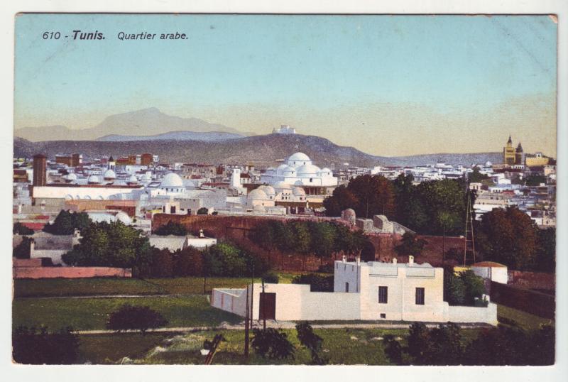 P1042 old card Tunis Tunisia quartier arabe birds eye view