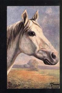 3047427 Head of ARABIAN HORSE by THOMAS vintage TUCK Publ. PC