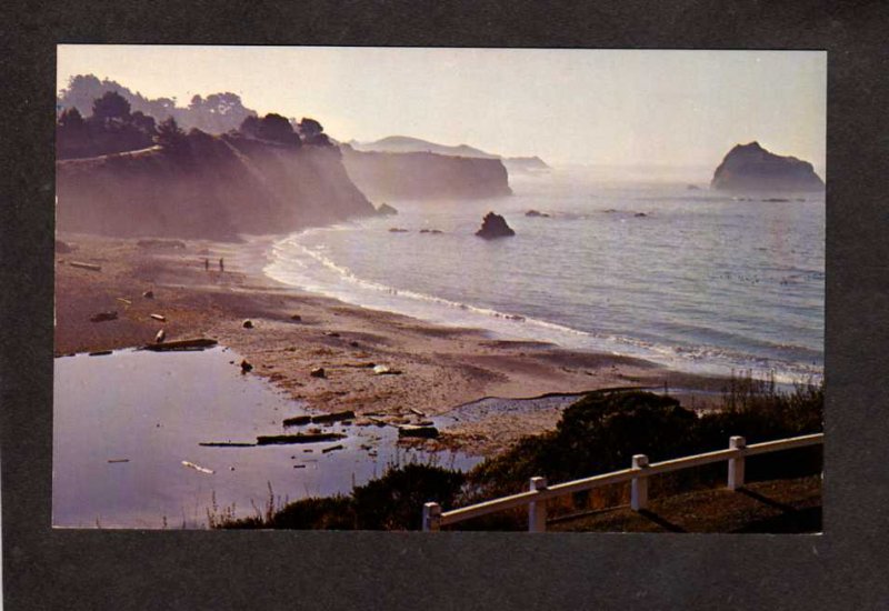 CA Van Damme State Park Mendocino California Postcard