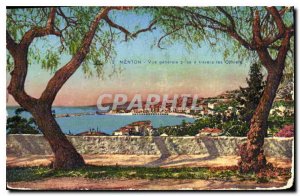 Old Postcard Menton general view taken through the olive trees