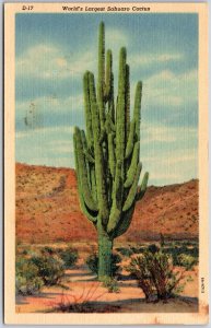 World's Largest Sahuaro Cactus in Arizona Desert Giant Cacti Specie Postcard