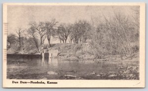 Neodesha Kansas~Dun Dam on Fall River~1920s B&W Postcard