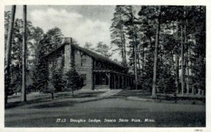 Douglas Lodge - Itasca State Park, Minnesota MN Postcard