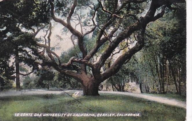 California Berkley Le Conte Oak University Of California