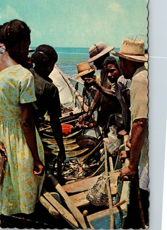 Martinique 1960s Chrome Postcard: Black People FISHERMAN - POSTED 