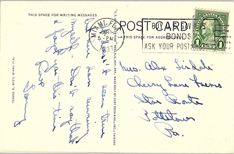 Postcard NATURE SCENE Miami Florida FL AI1229